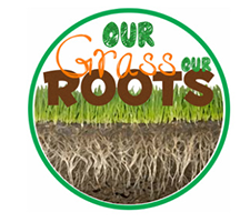 Our Grass Our Roots